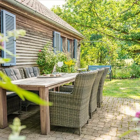 Wilde Wiese סלין