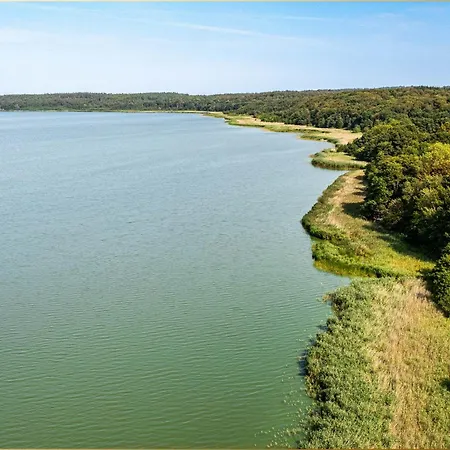 Wilde Wiese * Sellin (Usedom)