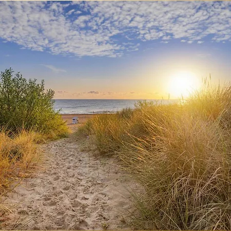 Wilde Wiese סלין