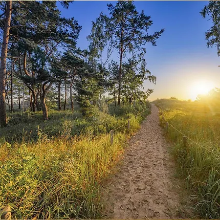 Wilde Wiese סלין